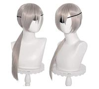 WELLHY Parrucca Cosplay Parrucca Costume Cosplay Anime Parrucca Motosega Parrucca Quanxi Parrucca Donna Argento Dritto con Cappuccio Parrucca Gratuito for Festa di Halloween Carnevale Vita Notturna Co