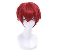 WELLHY Parrucca Cosplay Ranma 1/2 Ranma Saotome Parrucche Cosplay 25cm Rosso Borgogna Capelli Corti Sintetici Perucas Parrucca Cosplay Unisex for Coser