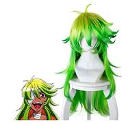 WELLHY Parrucca Cosplay The Numbers Niko Parrucca Cosplay Niko Verde Capelli Lunghi Lisci Costumi n. 25 Giallo Gradiente Verde Anti-ordito Cosplay Capelli Lunghi for Coser