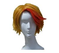 WELLHY Parrucca Cosplay Yuri!!!on Ice Minami Kenjiro Parrucche Cosplay Parrucca Corta in Capelli Sintetici Resistenti al Calore Rosso Dorato + Cappuccio for Parrucca for Coser