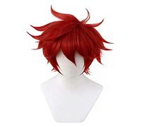 WELLHY SK8 The Reki Kyan Anime Cosplay Parrucca (Rossa) Parrucca Coser