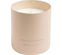 Wellmark Echoes Of Kindness Candela Profumata (PF4941)