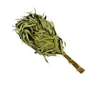 Wellow Fascio di eucalipto per sauna 1 St