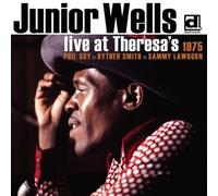 Wells Junior - Live At Theresa's 1975