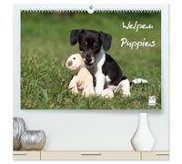 Welpen - Puppies (hochwertiger Premium Wandkalender 2026 DIN A2 quer), Kunstdruck in Hochglanz: Wandkalender