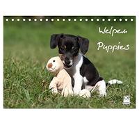 Welpen - Puppies (Tischkalender 2026 DIN A5 quer), CALVENDO Monatskalender: Wandkalender