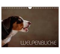 Welpenblicke (Wandkalender 2027 DIN A4 quer), CALVENDO Monatskalender