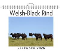 Welsh-Black Rind: (Wandkalender 2026, Kalender DIN A4 quer, Monatskalender im Querformat mit Kalendarium, das perfekte Geschenk)