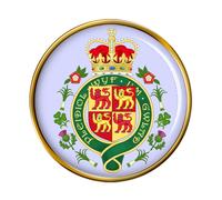 Welsh Cappotto Of Arms Spilla