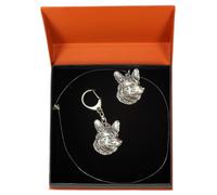 Welsh Corgi Cardigan - Set - Il Cane IN Der Arance Scatola Art Dog