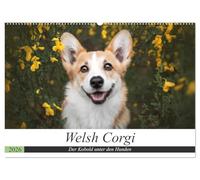 Welsh Corgi - Der Kobold unter den Hunden (Wandkalender 2026 DIN A2 quer), CALVENDO Monatskalender: Welsh Corgi: kleiner Hund, große Persönlichkeit.