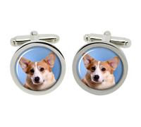 Welsh Corgi Pembroke Gemelli IN Cromo Scatola