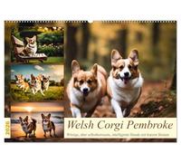 Welsh Corgi Pembroke (Wandkalender 2026 DIN A2 quer), CALVENDO Monatskalender: Witzige, aber selbstbewusste, intelligente Hunde mit kurzen Beinen