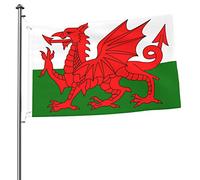 Welsh Dragon Flag Flag 2x3 FT Double-Sided Outside, Large Banner House Flag Yard Decorazione esterna