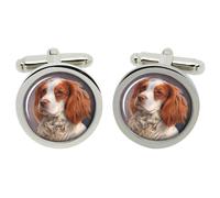 Welsh Springer Spaniel Gemelli IN Cromo Scatola