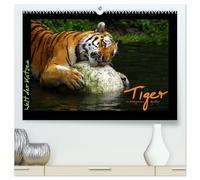 Welt der Katzen - Tiger (hochwertiger Premium Wandkalender 2026 DIN A2 quer), Kunstdruck in Hochglanz: Kalender mit stimmungsvollen Tigeraufnahmen aus Zoologischen Gärten
