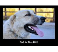 Welt der Tiere 2025 Fotokalender DIN A3: Monatskalender mit Bild-Motiven von Haustieren, Bauernhof, wilden Tieren und Raubtieren