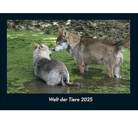 Welt der Tiere 2025 Fotokalender DIN A4: Monatskalender mit Bild-Motiven von Haustieren, Bauernhof, wilden Tieren und Raubtieren