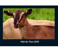 Welt der Tiere 2025 Fotokalender DIN A4: Monatskalender mit Bild-Motiven von Haustieren, Bauernhof, wilden Tieren und Raubtieren