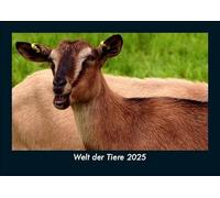 Welt der Tiere 2025 Fotokalender DIN A5: Monatskalender mit Bild-Motiven von Haustieren, Bauernhof, wilden Tieren und Raubtieren