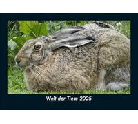 Welt der Tiere 2025 Fotokalender DIN A5: Monatskalender mit Bild-Motiven von Haustieren, Bauernhof, wilden Tieren und Raubtieren