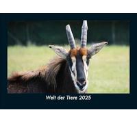 Welt der Tiere 2025 Fotokalender DIN A5: Monatskalender mit Bild-Motiven von Haustieren, Bauernhof, wilden Tieren und Raubtieren