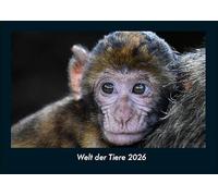 Welt der Tiere 2026 Fotokalender DIN A4: Monatskalender mit Bild-Motiven von Haustieren, Bauernhof, wilden Tieren und Raubtieren