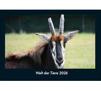 Welt der Tiere 2026 Fotokalender DIN A4: Monatskalender mit Bild-Motiven von Haustieren, Bauernhof, wilden Tieren und Raubtieren