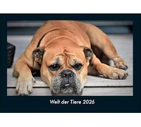 Welt der Tiere 2026 Fotokalender DIN A4: Monatskalender mit Bild-Motiven von Haustieren, Bauernhof, wilden Tieren und Raubtieren