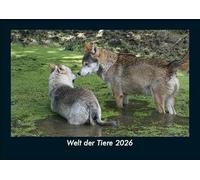Welt der Tiere 2026 Fotokalender DIN A5: Monatskalender mit Bild-Motiven von Haustieren, Bauernhof, wilden Tieren und Raubtieren