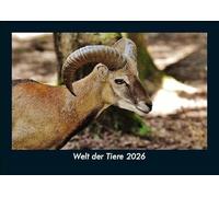 Welt der Tiere 2026 Fotokalender DIN A5: Monatskalender mit Bild-Motiven von Haustieren, Bauernhof, wilden Tieren und Raubtieren