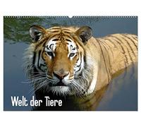 Welt der Tiere (Wandkalender 2026 DIN A2 quer), CALVENDO Monatskalender: Tiere verzaubern uns, dieser Kalender bietet einen kleinen Einblick in die Vielfalt unserer Tierwelt