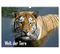 Welt der Tiere (Wandkalender 2026 DIN A3 quer), CALVENDO Monatskalender: Tiere verzaubern uns, dieser Kalender bietet einen kleinen Einblick in die Vielfalt unserer Tierwelt