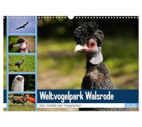 Weltvogelpark Walsrode - Die Vielfalt der Vogelarten (Wandkalender 2026 DIN A3 quer), CALVENDO Monatskalender: Vogelparks erhalten eine Vielfalt aussterbender Vögel.