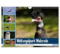 Weltvogelpark Walsrode - Die Vielfalt der Vogelarten (Wandkalender 2026 DIN A4 quer), CALVENDO Monatskalender: Vogelparks erhalten eine Vielfalt aussterbender Vögel.
