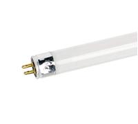 Wemlite 6W T5 Blacklight Fly Killer tubo fluorescente a basso consumo (F6T5/BL/368, BL368)