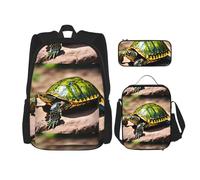 WenDang Lord Howe Island Sea Turtle - Set di borsa a tracolla doppia con borsa per il pranzo e astuccio, adatta per lo shopping, sport all'aria aperta