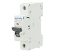 Wengart Interruttore Magnetotermico 1P, 40A 230V, Potere di Interruzione 10kA (Alta Sicurezza), Protezione da Sovraccarico e Cortocircuito per Illuminazione e Grandi Elettrodomestici, WGM12-63H