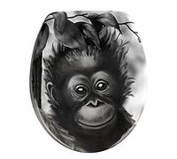 Wenko 18796100 Asse WC Ape, Fissaggio in Acciaio Inossidabile, Materiale Plastico, 44,5 x 37,5 cm, Multicolore