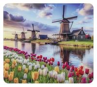 WENKO Multi Lastra Mod. Mulino a vento, tagliere da cucina 3in1, paraspruzzi, copertura per fornelli, tagliere, vetro, 56 x 50 cm