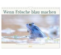 Wenn Frösche blau machen - das geheime Leben der Moorfrösche von Tanja Riedel (W