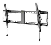 Wentronic Pro TILT (XL) 2,54 m (100") Nero