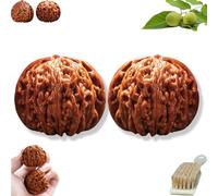 Wenwan Walnuts, Chinese Walnut Fidget for Hand Massage & Stress Relief, Natural Solid Wood Hand Exercise Balls, Traditional Health Care Gift for Elderly & Meditation (A-High Throw, 43-44mm)