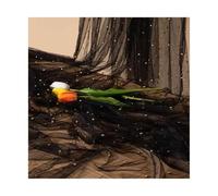 WEOKDFHA Fiocchi per Sedie 2pcs Pearl Tulle White Chair Sashes 75x200cm Long Aisle Wedding Back Side Decorations Sheer Church(Black)