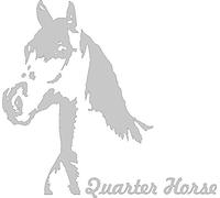 Werbetechnik Sotirios Papoutsis Adesivo per Auto Quarter Horse Cavallo Sticker Taglio Contorno (ca. 11x8 cm) (Argento)