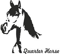 Werbetechnik Sotirios Papoutsis Adesivo per Auto Quarter Horse Cavallo Sticker Taglio Contorno (ca. 11x8 cm) (Nero)