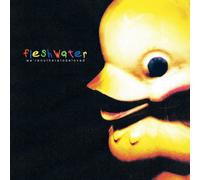 We're Not Here To Be Loved (CD) Fleshwater