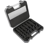 WERHE Set punte per legno 10 pezzi - Ø12-25 mm + prolunga + adattatori HEX e ...