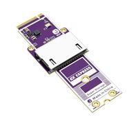 WERKWEN Express to NVMe Scheda Lettore per Express Card PCIe Bridge | Installazione Plug and Play, formato PCB, uso trasferimento desktop, accesso all'archiviazione di progetti Maker