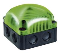 Werma Signaltechnik 853.200.55 Segnalatore luminoso LED Werma Verde Luce conti